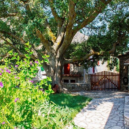 Menelia Cottage Platístoma Kamer foto